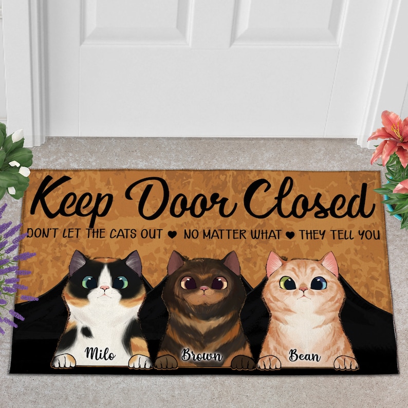 To My Home The Human Just Live Here With Me Personalized Cat Door Mat, Personalized